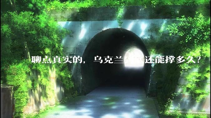 聊点真实的，乌克兰到底还能撑多久？