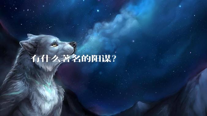 有什么著名的阳谋？
