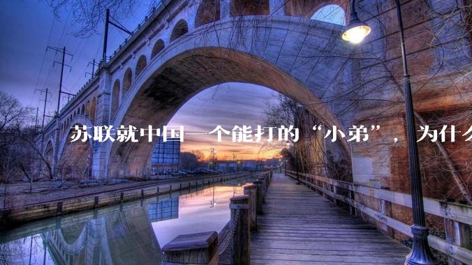 苏联就中国一个能打的“小弟”，为什么要逼走中国?
